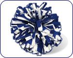 Cheer Teamwear